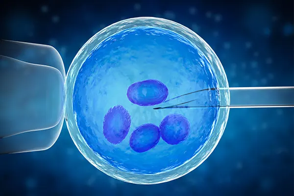 Best IVF Center in Mehsana, Gujarat