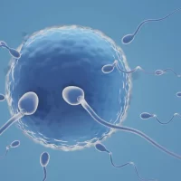 Best IVF Center in Mehsana, Gujarat