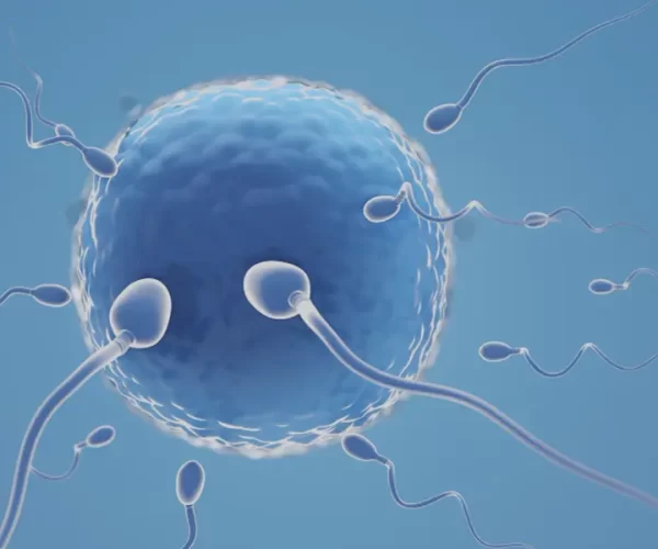 Best IVF Center in Mehsana, Gujarat