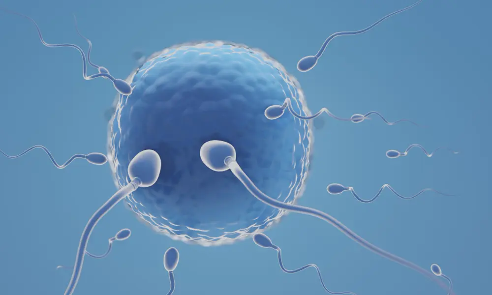 Best IVF Center in Mehsana, Gujarat