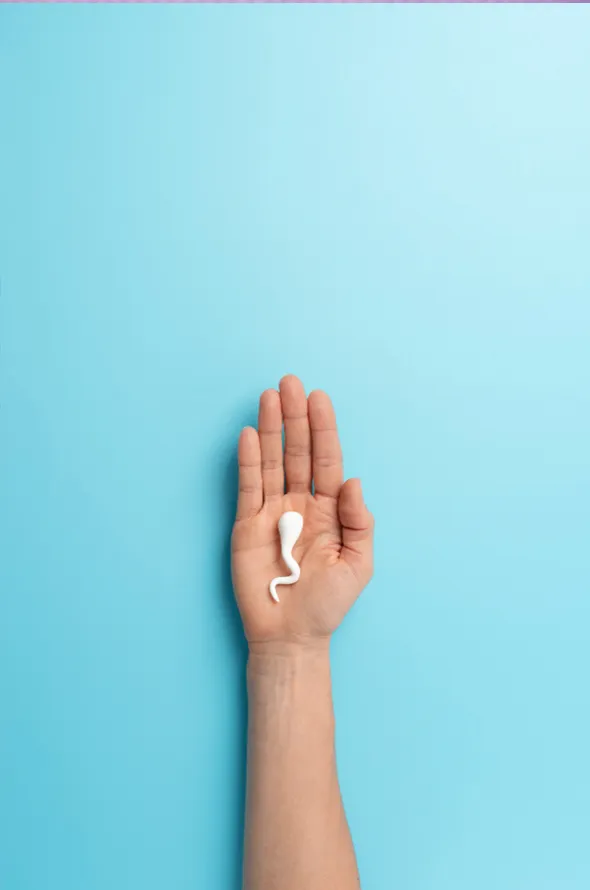 Best IVF Center in Mehsana, Gujarat